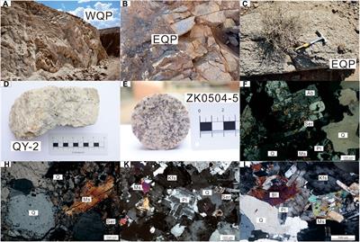 Petrogenesis and geological implications of the qiyishan triassic granitoids in east Beishan orogen, inner Mongolia, NW China: evidence from geochronology, geochemistry and Nd-Hf isotopes